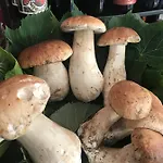 Miramonti Gorreto