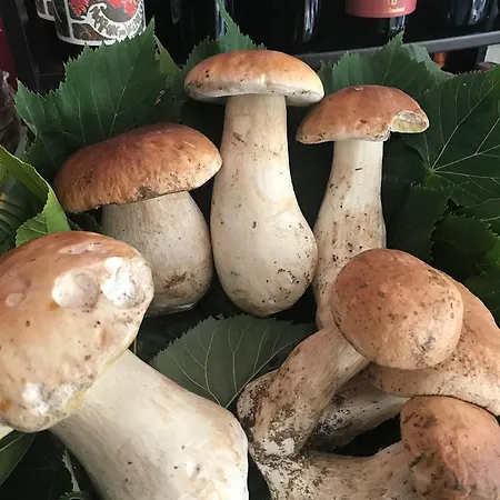 Miramonti Gorreto